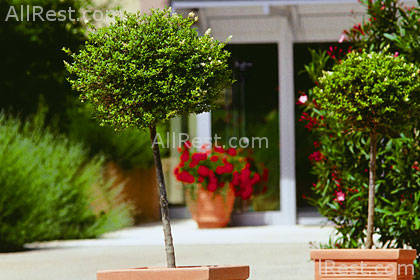 Pollux Hotel 5